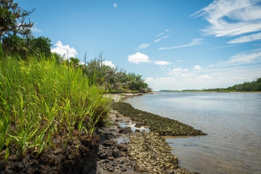 Oyster harvesting closes in the summer when oysters spawn.