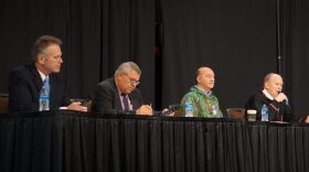 Alaska 2022 gubernatorial candidates