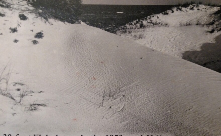 gins_50s-60s_dunes.jpg