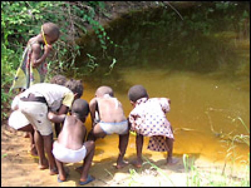 A dirty pool water in Obioku that villagers use for drinking, cooking, washing clothes and bathing.