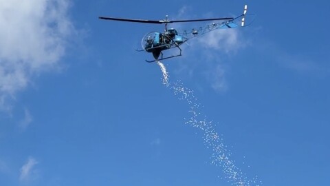 A helicopter flying is shown over Nankin Mills in Westland park dropping thousands of marshmallows. The picture show the marshmallows mid drop in the sky.  