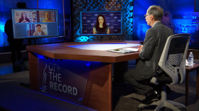 Tudor Dixon appearing on Off the Record