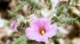 olympus-digital-camera-20