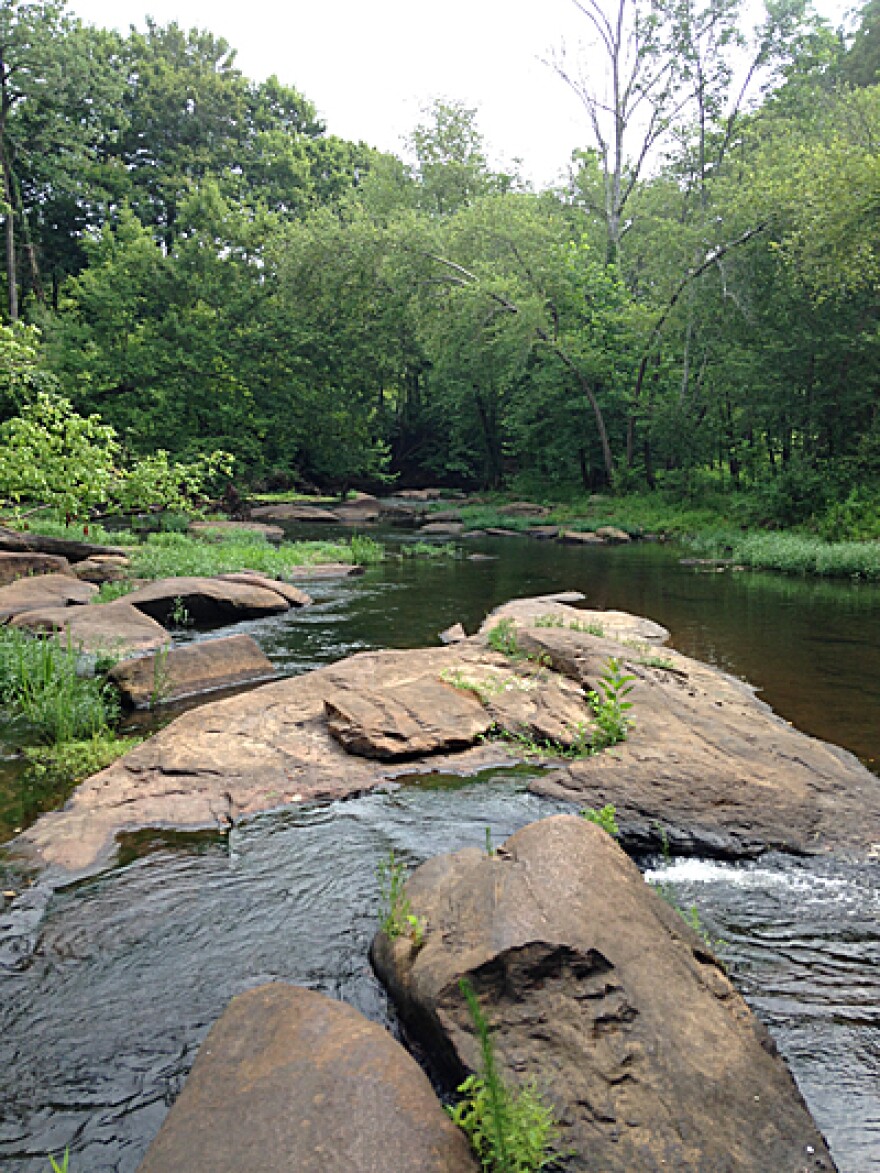 Neuse River