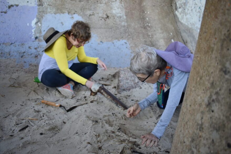 Volunteer Laura Leavitt works alongside another volunteer to collect nurdles at a beach cleanup in Galveston on Nov. 7, 2025.