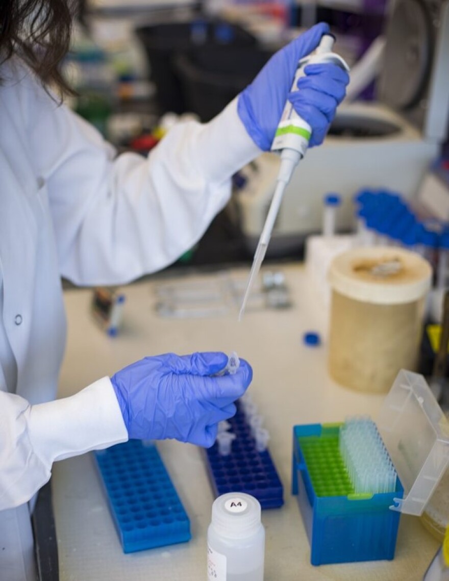 Scientists at UNR working in a lab on SARS-CoV-2 research