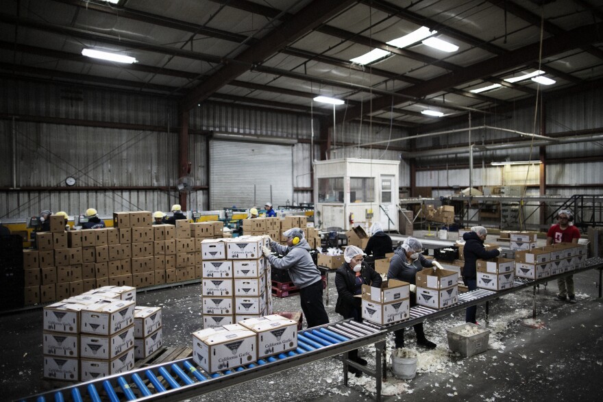 Workers pack garlic into boxes at the plant. Ken Christopher, the company's executive vice president, said that when the Trump administration announced tariffs on China, "My coworkers and I started texting each other, emails started flying back and forth."