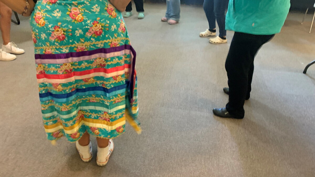 Illinois students will be required to learn Native American history - Vimarsana News