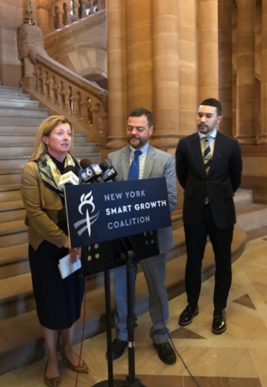 Business Council President Heather Briccetti speaks in favor of the driver's license bill for undocumented immigrants Wednesday at the State Capitol. To her right is Senate sponsor Luis Sepulveda.