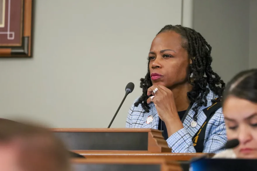 Rep. Carol Ammons, D-Urbana, oversees her first hearing as House Energy and Environment Committee chair.