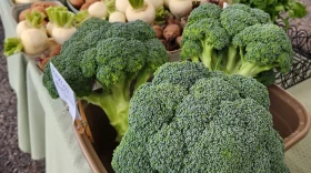 Farmers Market vegetables on table 