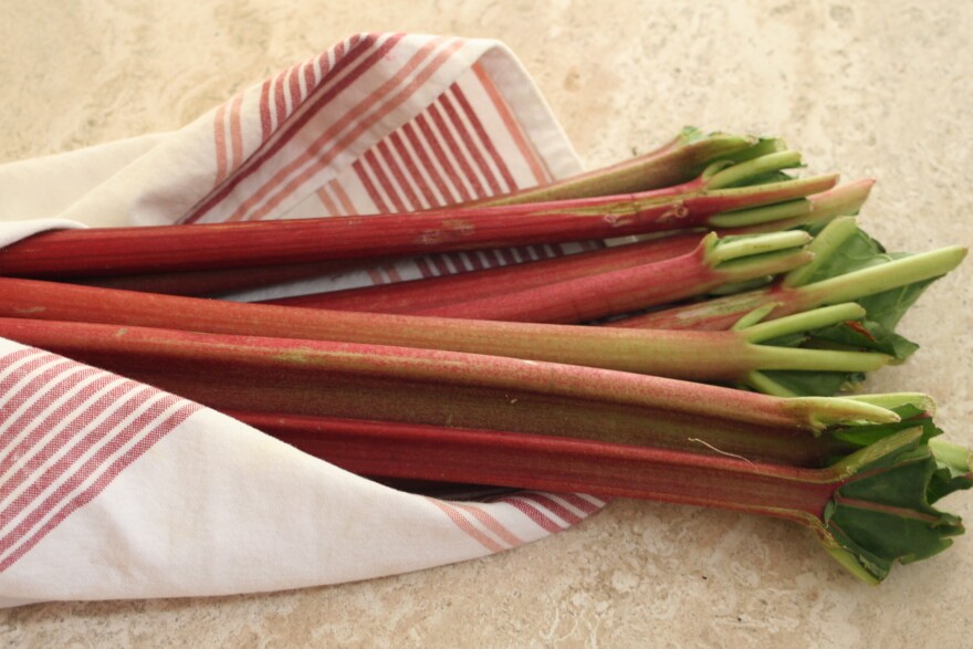 Rhubarb.