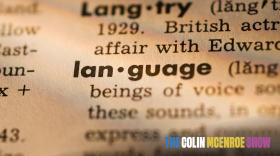 A close up image of the word "language" in a dictionary.