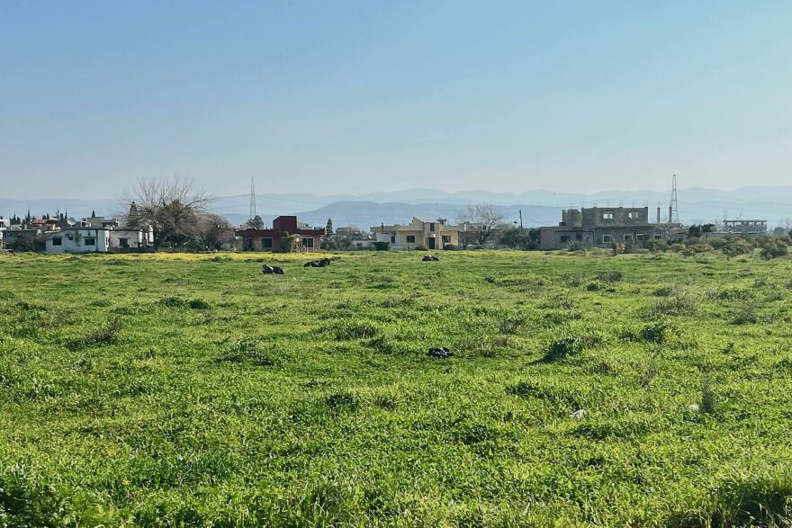 هذا الجزء من سوريا مليء بالتلال وهو موطن للعديد من العائلات الريفية التي كانت تعيش على الأرض.