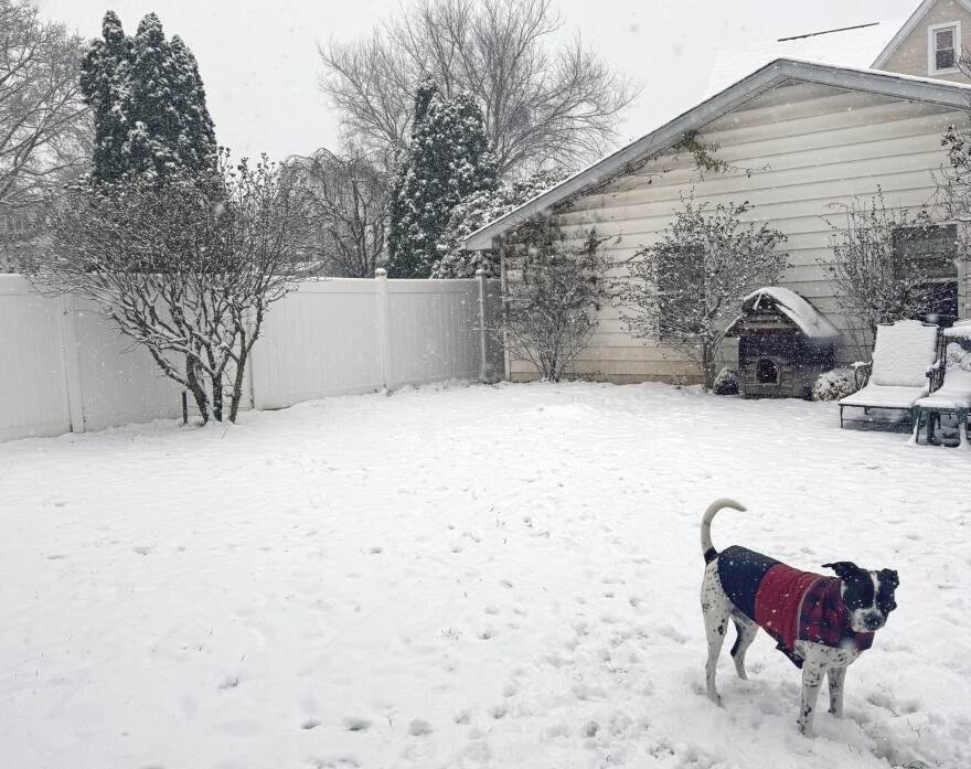 It's definitely 'sweater weather' — here in South Wilkes-Barre and across the region — as snow continues to fall.