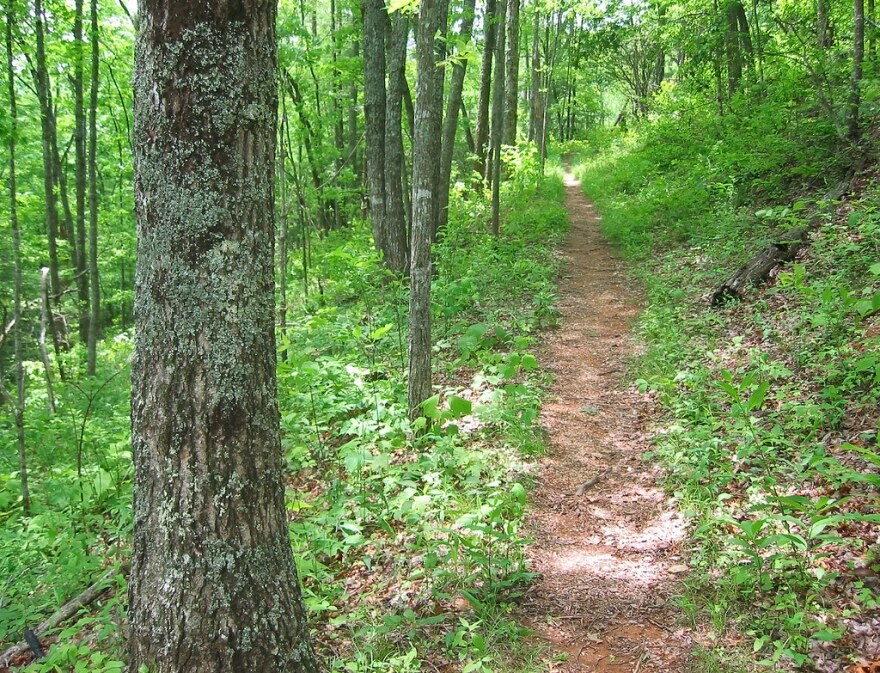 Roundtop Trail, Great Smoky Mountains National Park