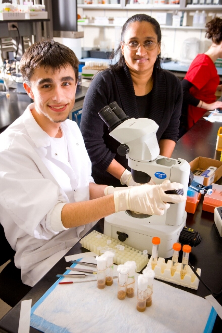 Students conducting research