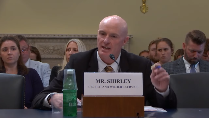 Democratic lawmakers at Tuesday's subcommittee hearing pushed U.S. Fish and Wildlife Service Acting Director Justin "J" Shirley to acknowledge his agency is suffering from the recent departure of "thousands of dedicated career staffers." Shirley said USFWS is leaning on partners and "just working on mission-critical situations that we can continue to get done."