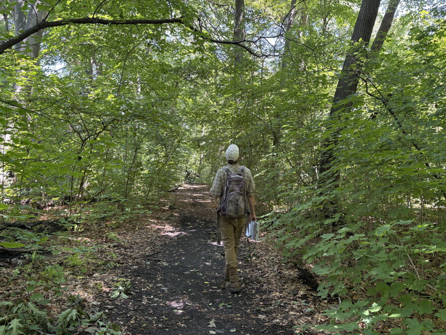 Southeast Wisconsin Regional Planning Commission biologist Zach Kron walking Seminary Woods. 