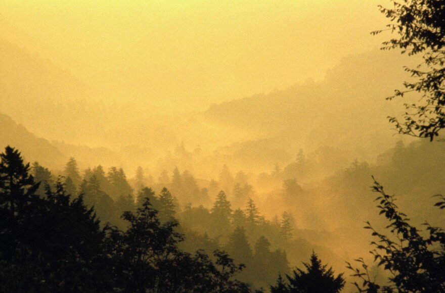 Great Smoky Mountains