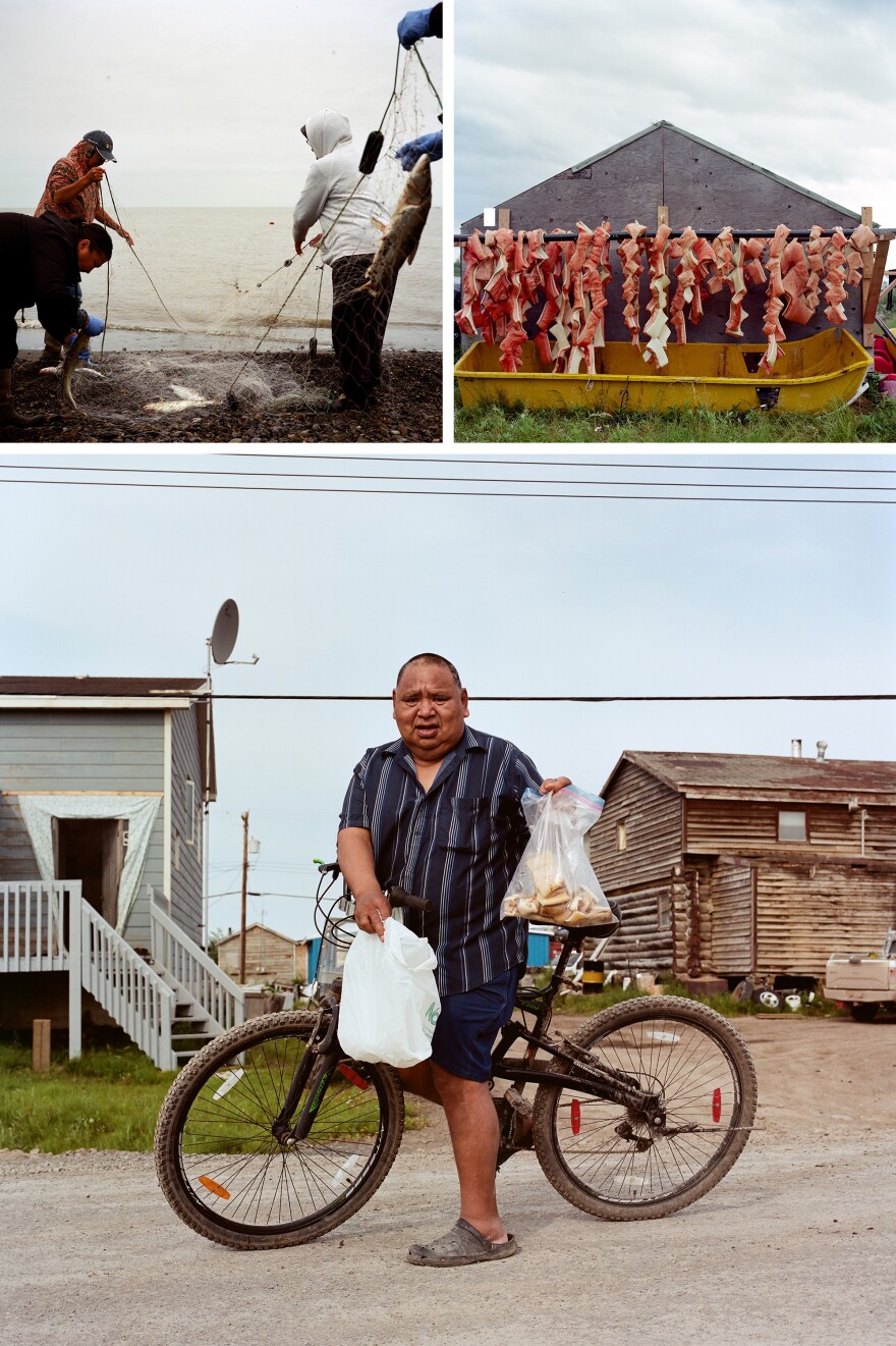 Left: Mary Ruth Meyook and Nellie Arey pull in fish nets at Shingle Point, a fishing camp in Canada. Right: Beluga whale drying outside of Billy Archie and Kathy Greenland's home. The day before, whalers in Aklavik caught six beluga whales in the river. Bottom: Sandy Elaine shows the dried beluga he just picked up from Archie and Greenland.