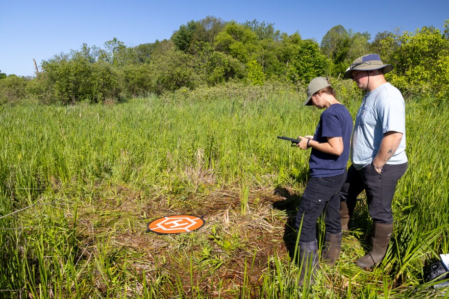 Two student researchers are looking at a screen next to a small drone landing pad in a wetland.