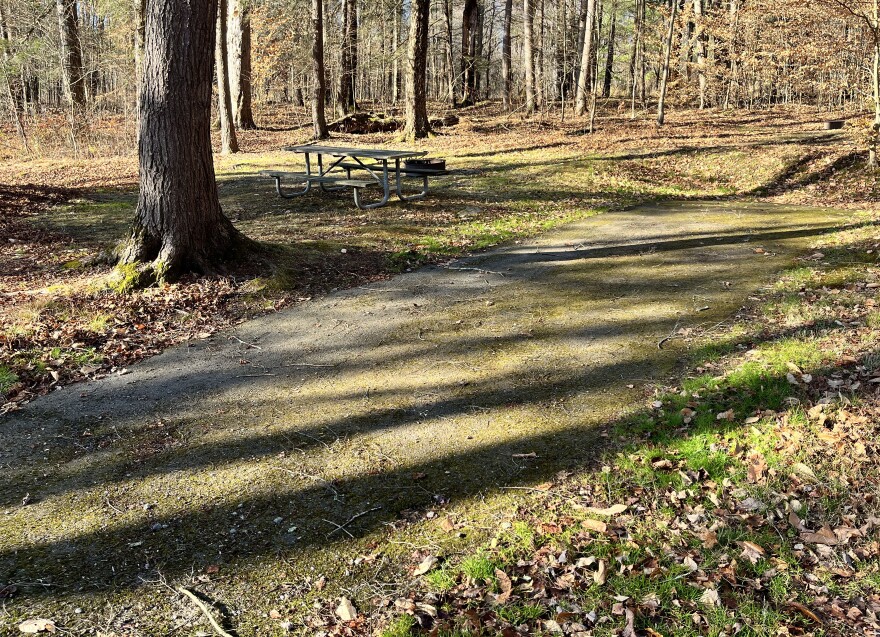 A campsite at Lackawanna State Park.
