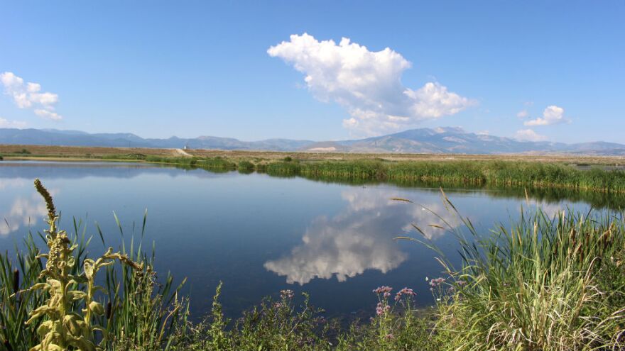 Warm Spring Ponds.