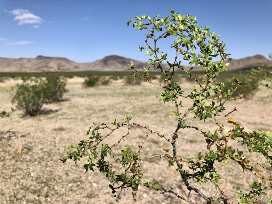  A bill introduced by Nevada Sen. Catherine Cortez Masto would allow Clark County to develop 30,633 acres of public lands in the Hidden Valley south of Las Vegas for affordable housing.