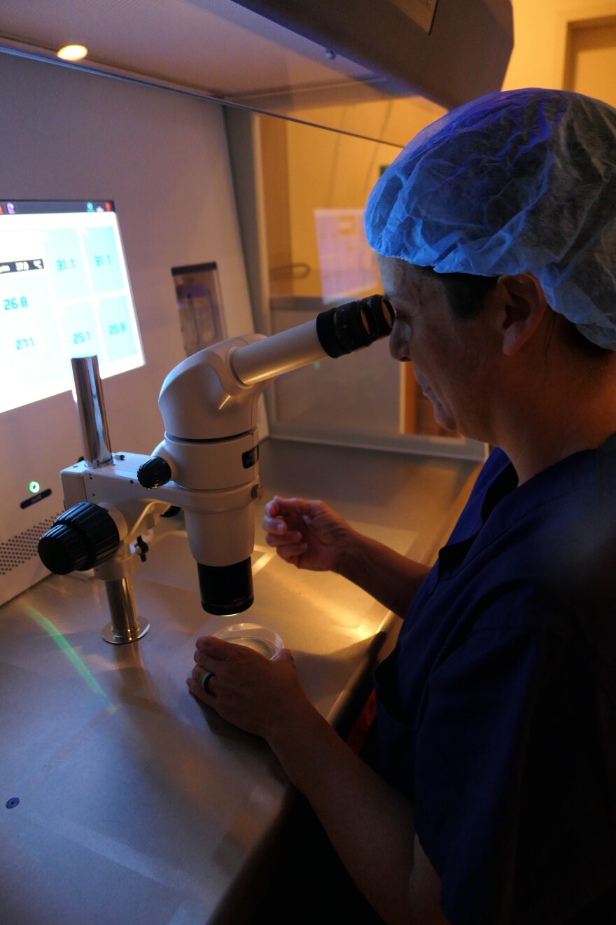 Embryologist Tricia Powers demonstrates how an IVF procedure would be done in the clinic lab.