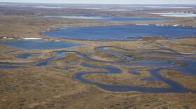 The National Petroleum Reserve-Alaska encompasses important habitat for migratory birds. The vast region is also increasingly promising for oil development. (Photo by Bob Wick, courtesy BLM)