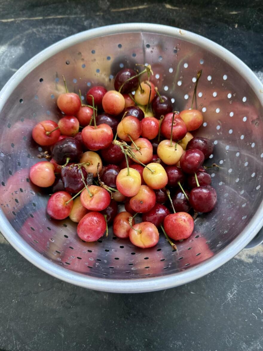 Cherries. (Kathy Gunst/Here & Now)