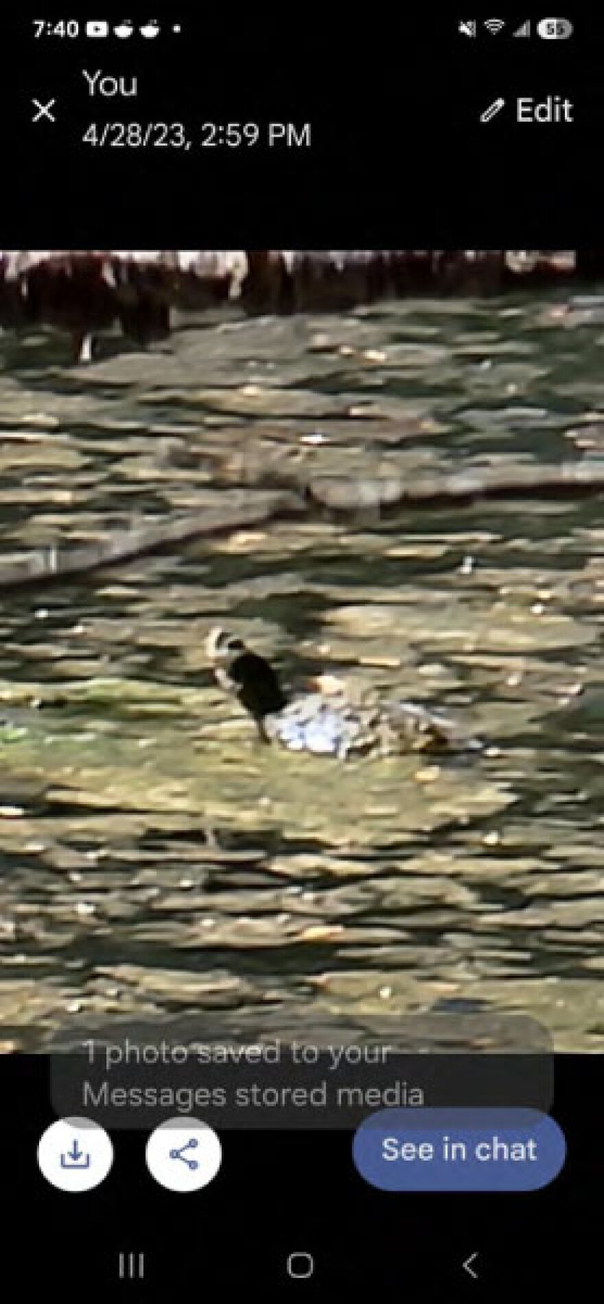 Mark Shaffer included this image in a letter he sent to Lane County Land Management on June 4, 2025.