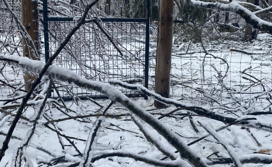 Photos of fallen tree limbs blocking essential areas at Hearts Pasture farm in March 2025 following a devastating ice storm.