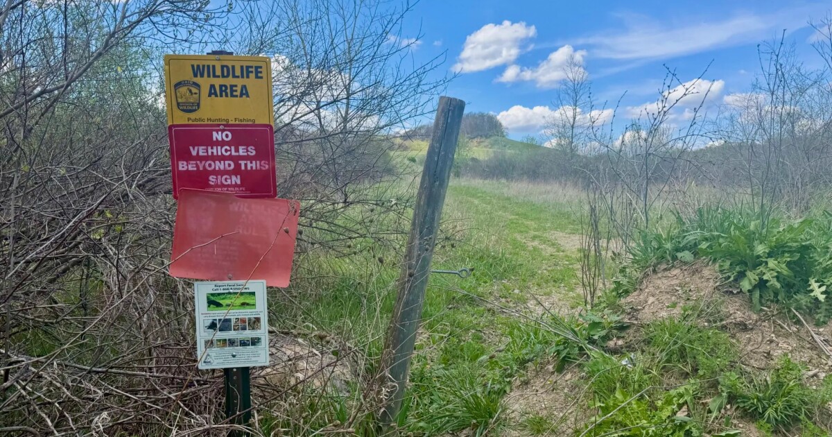 Incoming fracking at Ohio wildlife area could bring habitat loss, heavy construction and money for conservation