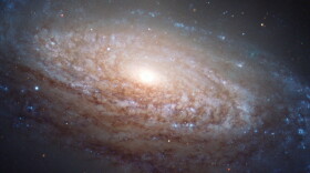 The spiral galaxy known as NGC 3521 lies in the constellation of Leo, a mere 35 million light-years away. Now go flush and see if you understand the connection between the two.