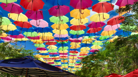 The Coral Gables Umbrella Sky Project went up in early July, making Giralda Avenue Miami's newest tourist attraction.