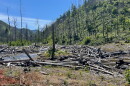 A river makes its way through a crisscross of downed logs