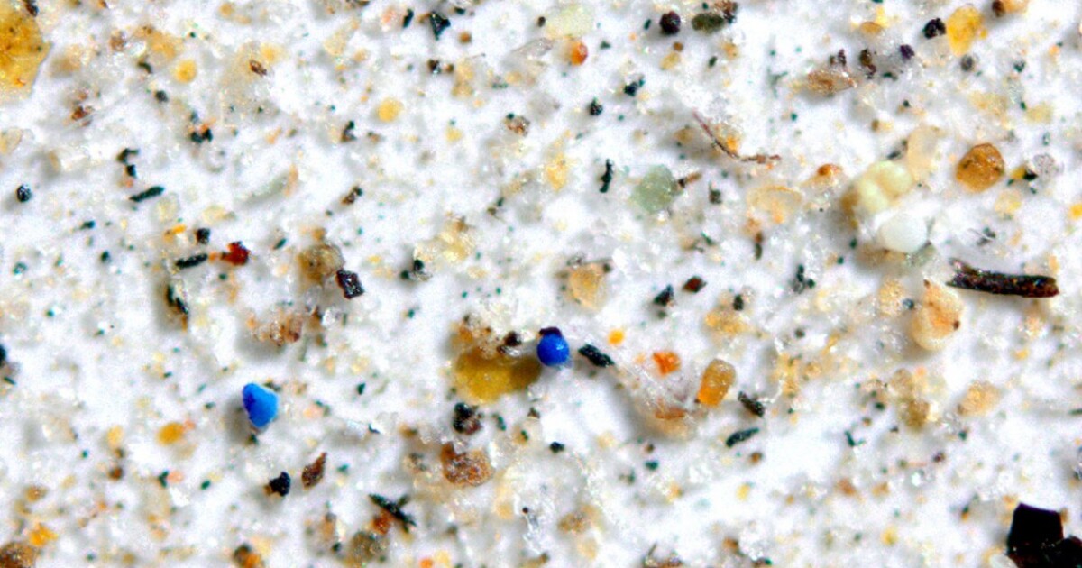 photo of Plastic is found in dust from remote parks in the Western US image