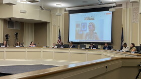 Lexington Council Committee members hold TEAMS meeting with Eva Marie Stahl of Undue Medical Debt