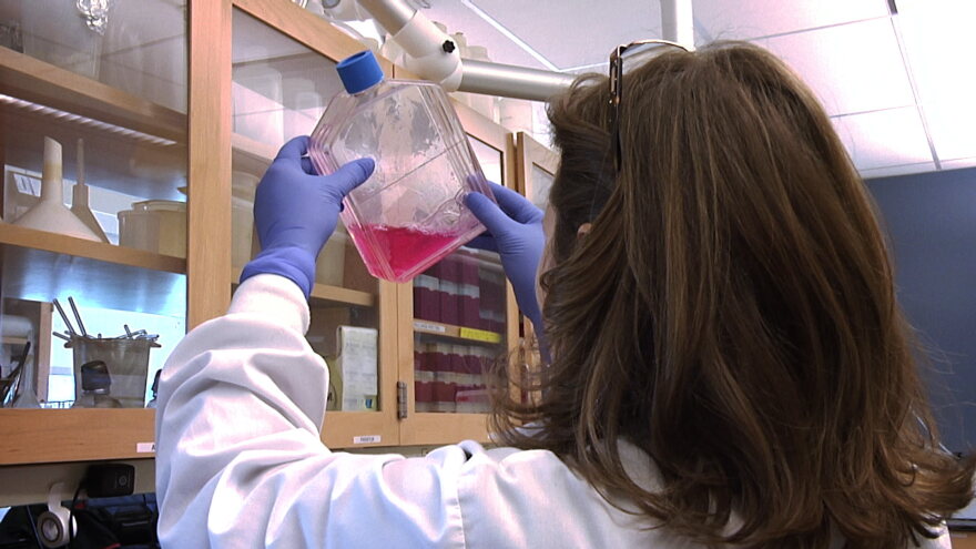 360 scientist disinfectant