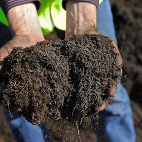 Hands Holding Compost