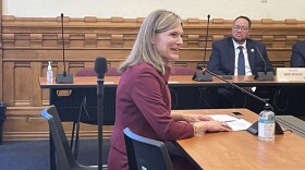 Comptroller Elise Nieshalla testifies before the Senate Elections Committee on Monday, Jan. 13, 2025.