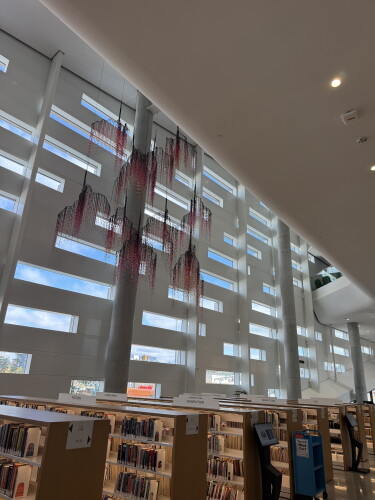 A suspended red art installation hangs over bookshelves beneath tall windows in the Central Library