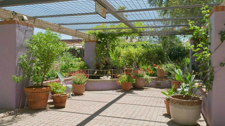AZILL Botanical Garden 50th