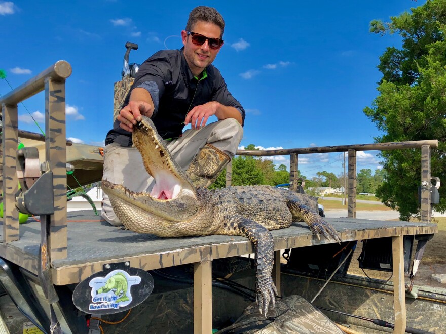 The alligator caught and killed on the second-to-last day of the 2018 inaugural alligator hunting season.