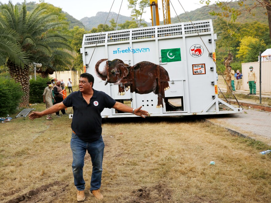 Khalil asks members of the media to stay away from a crate carrying Kaavan.