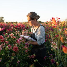 All photos by Chris Benzakein, courtesy of Floret Flower Farm, all rights reserved.