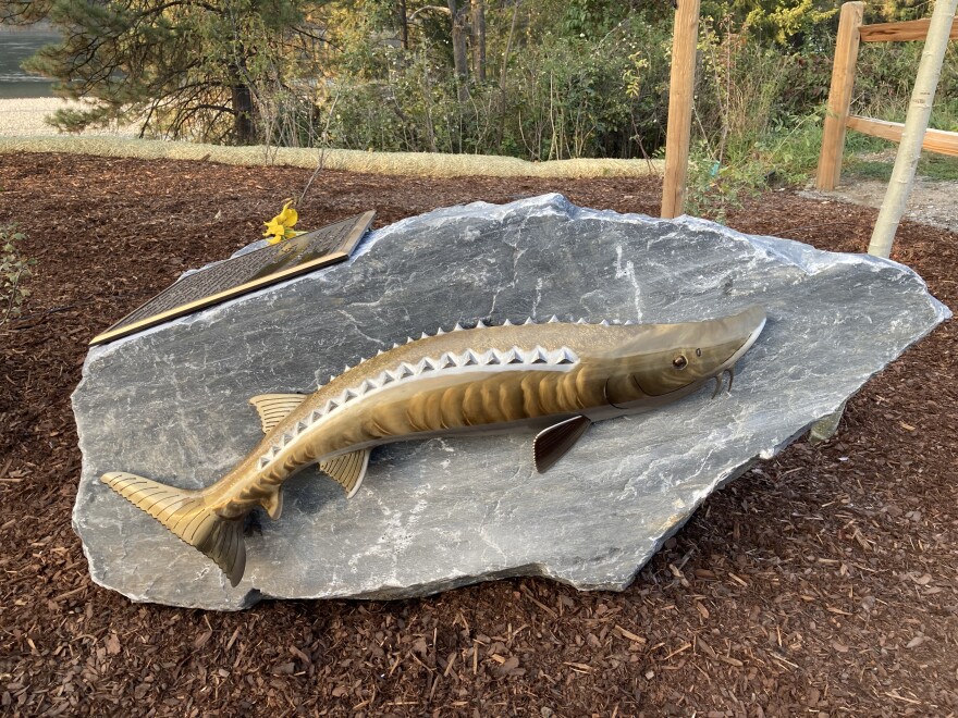 In honor of John Roland and his dedication to the community, Fitzgerald built a sturgeon sculpture out of stainless steel and presented it during Roland’s memorial earlier this fall. Andersen said Fitzgerald’s sculpture was an important way to mark the end of the six-year cleanup.