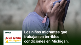 En la imagen se puede observar un joven con piel morena y pelo negro se encuetra sudando y se le puede observar usando una camiseta color purpura para limpiarse la cara. La cara del joven no se puede ver ya que esta siendo cubierta por la camiseta. En el lado inferior de la imagen esta el logo de Que Onda Michigan sobre un fondo blanco. En la parte derecha las siguientes palabras estan escritas: "Los niños migrantes que trabajan en condiciones terribles en Michigan." En el lado superior de la imagen se encuentra las pablaras "WKAR" en color blanco.  y "Episodio 83".